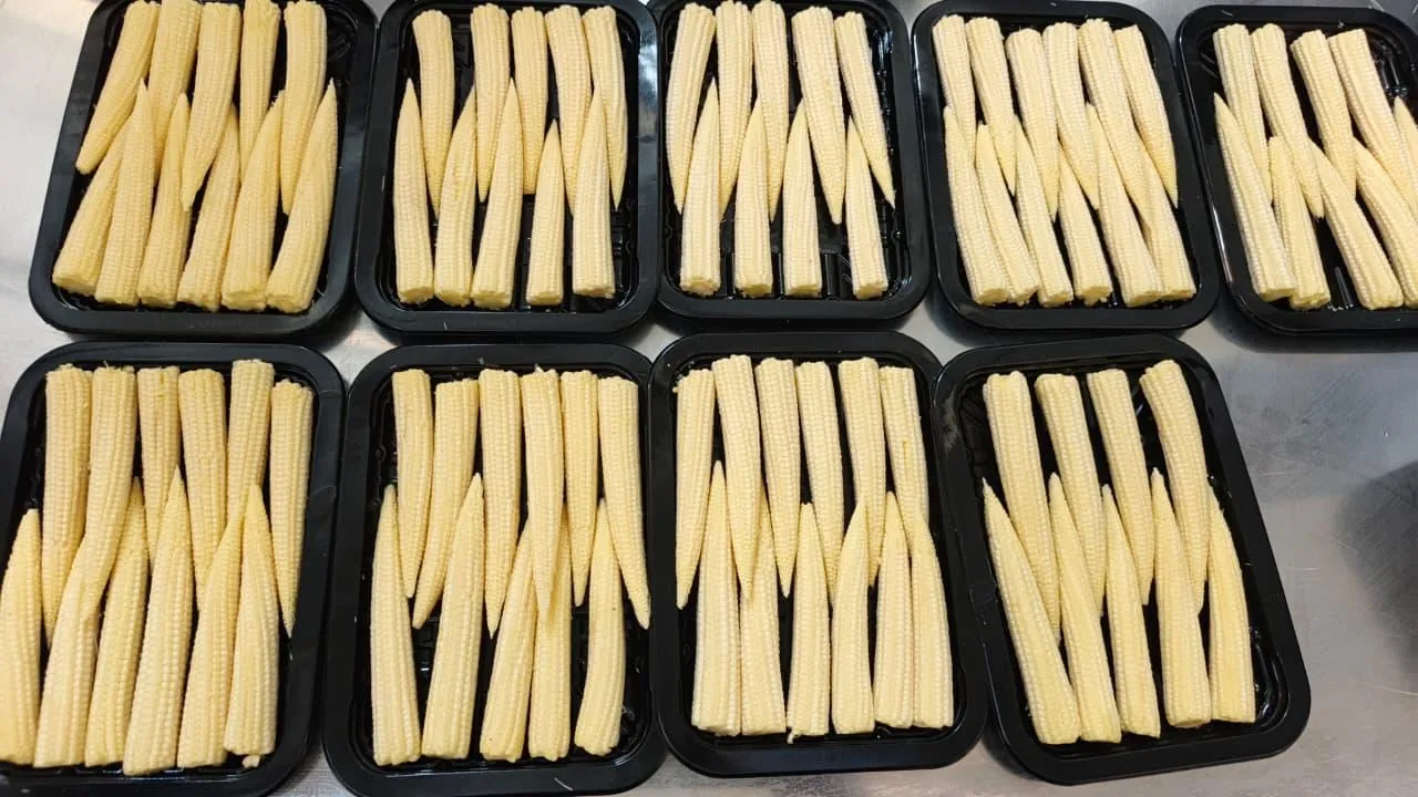 Baby corn packed in black trays