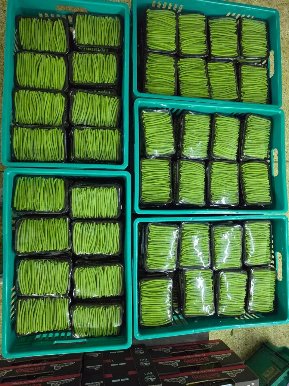 Crated for export